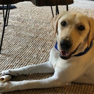 Meet your Posher, Jacob